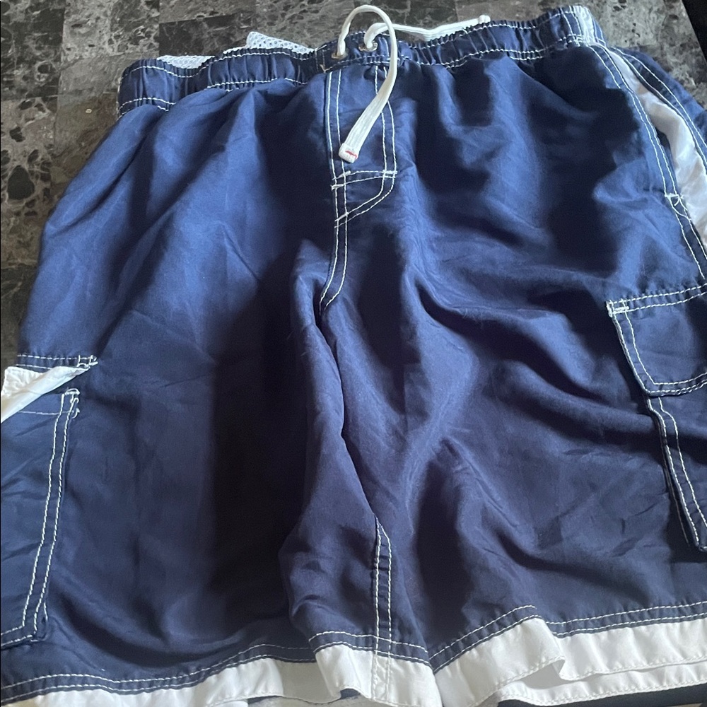 Ingear Navy and White Swim Shorts